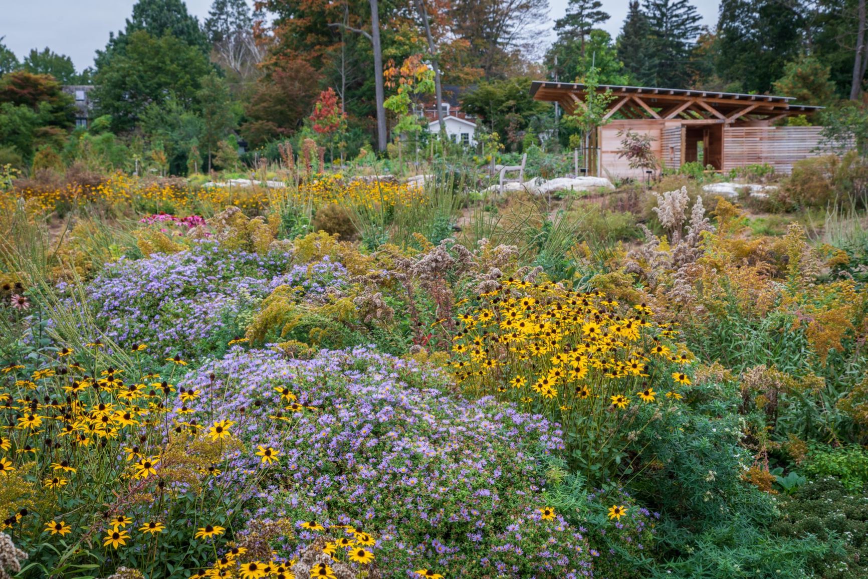 [Welcome image: Upload from IrisBG]